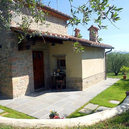 Selva Degli Ulivi Pensionat Foiano Della Chiana Exteriör bild