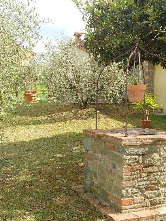 Selva Degli Ulivi Pensionat Foiano Della Chiana Exteriör bild