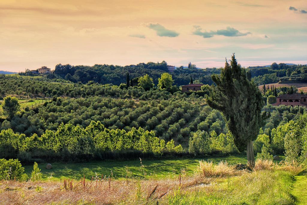 Selva Degli Ulivi Pensionat Foiano Della Chiana Exteriör bild